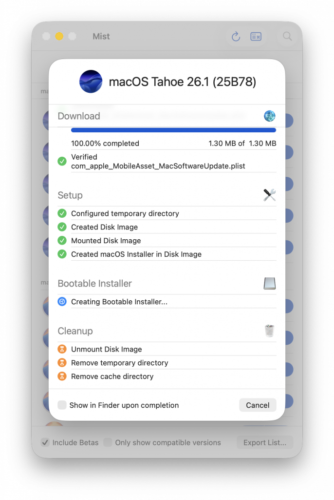 Mist arbeitet daran, den USB-Stick vorzubereiten.